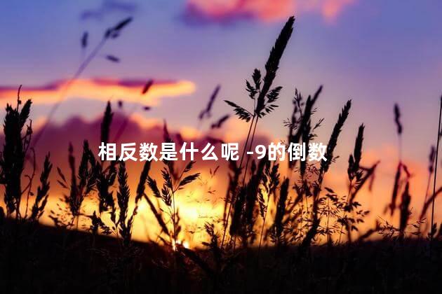 相反数是什么呢 -9的倒数